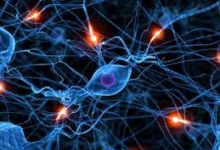 Boli ale sistemului nervos central si periferic