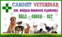 Medicina veterinara Oboga