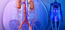 Urologie Brasov