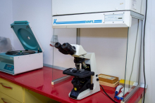 Medic Bun Baia Mare CALLA - Centrul de diagnostic si tratament al infertilitatii