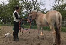Medic Bun Bucuresti-Sector 1 Cabinet Individual de Psihologie - Bîlba Anca Nicoleta