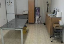 Medic Bun Dorohoi Cabinet Medical Veterinar - Dr. Ivanescu Vlad