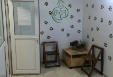 Medic Bun Dorohoi Cabinet Medical Veterinar - Dr. Ivanescu Vlad