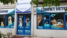 Medic Bun Slobozia Cabinet Veterinar Black Gamedog