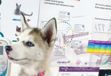 Medic Bun Draganesti Cabinet Veterinar Draganesti - NIEGO
