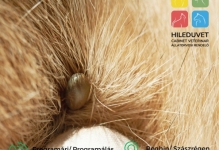 Medic Bun Reghin Cabinet Veterinar HILEDUVET Állatorvosi Rendelő