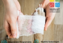 Medic Bun Reghin Cabinet Veterinar HILEDUVET Állatorvosi Rendelő