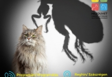Medic Bun Reghin Cabinet Veterinar HILEDUVET Állatorvosi Rendelő