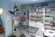 Medic Bun Otopeni Cabinet Veterinar Otopeni - Dragos Vet