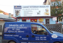 Medic Bun Otopeni Cabinet Veterinar Otopeni - Dragos Vet
