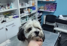 Medic Bun Otopeni Cabinet Veterinar Otopeni - Dragos Vet