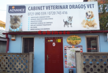 Medic Bun Otopeni Cabinet Veterinar Otopeni - Dragos Vet
