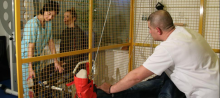 Medic Bun Bucuresti-Sector 6 Cabinet de recuperare medicala  Bucuresti Sector 6 - IvaKinetic