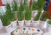 Medic Bun Bucuresti-Sector 2 Cabinet individual de psihologie Bucuresti - Mihaela Daniela Bucur