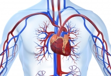 Medic Bun Cluj-Napoca Cabinet Cardiologie Cluj Napoca