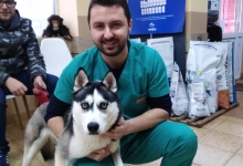 Medic Bun Satu Mare Clinica Veterinara Dr. Condurache Vlad