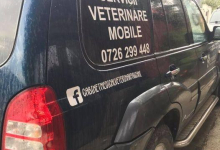 Medic Bun Targu Frumos Clinica Veterinara Targu Frumos - DondorVet