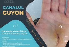 Medic Bun Harsova Dr. Lungoci Roxana - Chirurgie Plastica, Estetica si Chirurgia Mainii