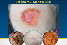 Medic Bun Isaccea Dr. Lungoci Roxana - Chirurgie Plastica, Estetica si Chirurgia Mainii