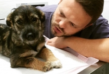 Medic Bun Bucuresti-Sector 6 Dream Vet - Cabinet Veterinar Ghencea