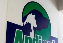 Medic Bun Deva SPITAL VETERINAR ANDIVET
