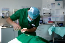 Medic Bun Deva SPITAL VETERINAR ANDIVET