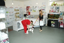 Medic Bun Deva SPITAL VETERINAR ANDIVET