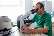 Medic Bun Deva SPITAL VETERINAR ANDIVET