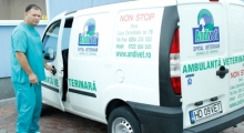 Medic Bun Deva SPITAL VETERINAR ANDIVET