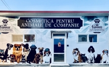 Medic Bun Deva SPITAL VETERINAR ANDIVET