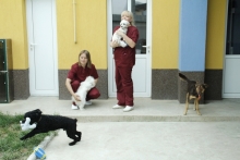 Medic Bun Deva SPITAL VETERINAR ANDIVET