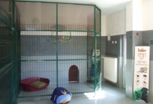 Medic Bun Deva SPITAL VETERINAR ANDIVET