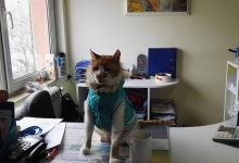 Medic Bun Cluj-Napoca VET PLACE SRL